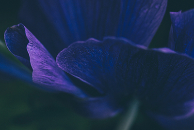 表明!武漢試管嬰兒開始促排了要注意什么