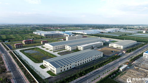 青農大明年春季啟用 平度南村加快臨空經濟區建設