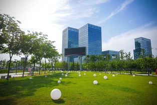 凰探 十年高新鑄就產業新引擎 誰是新動能的引領者