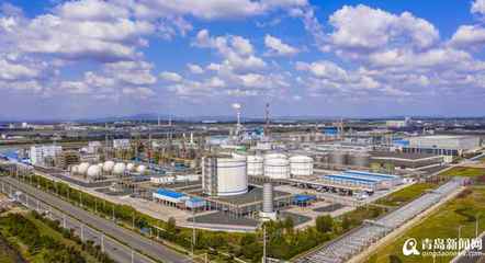 【青視點】從“一棵樹”到“一片林” 青島新材料專業園區崛起，新興產業生態加速成勢